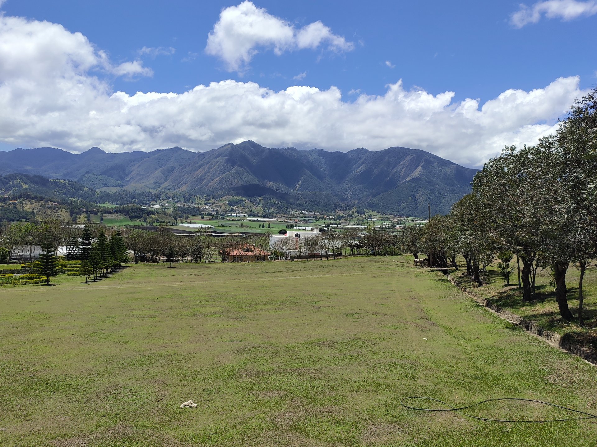 Constanza