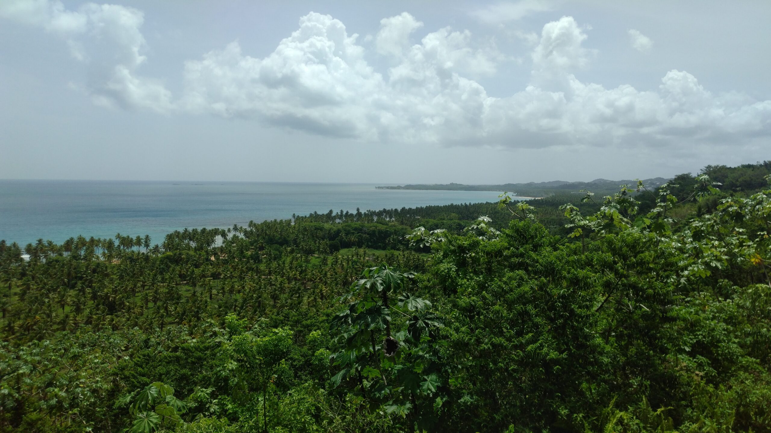 Las Terrenas