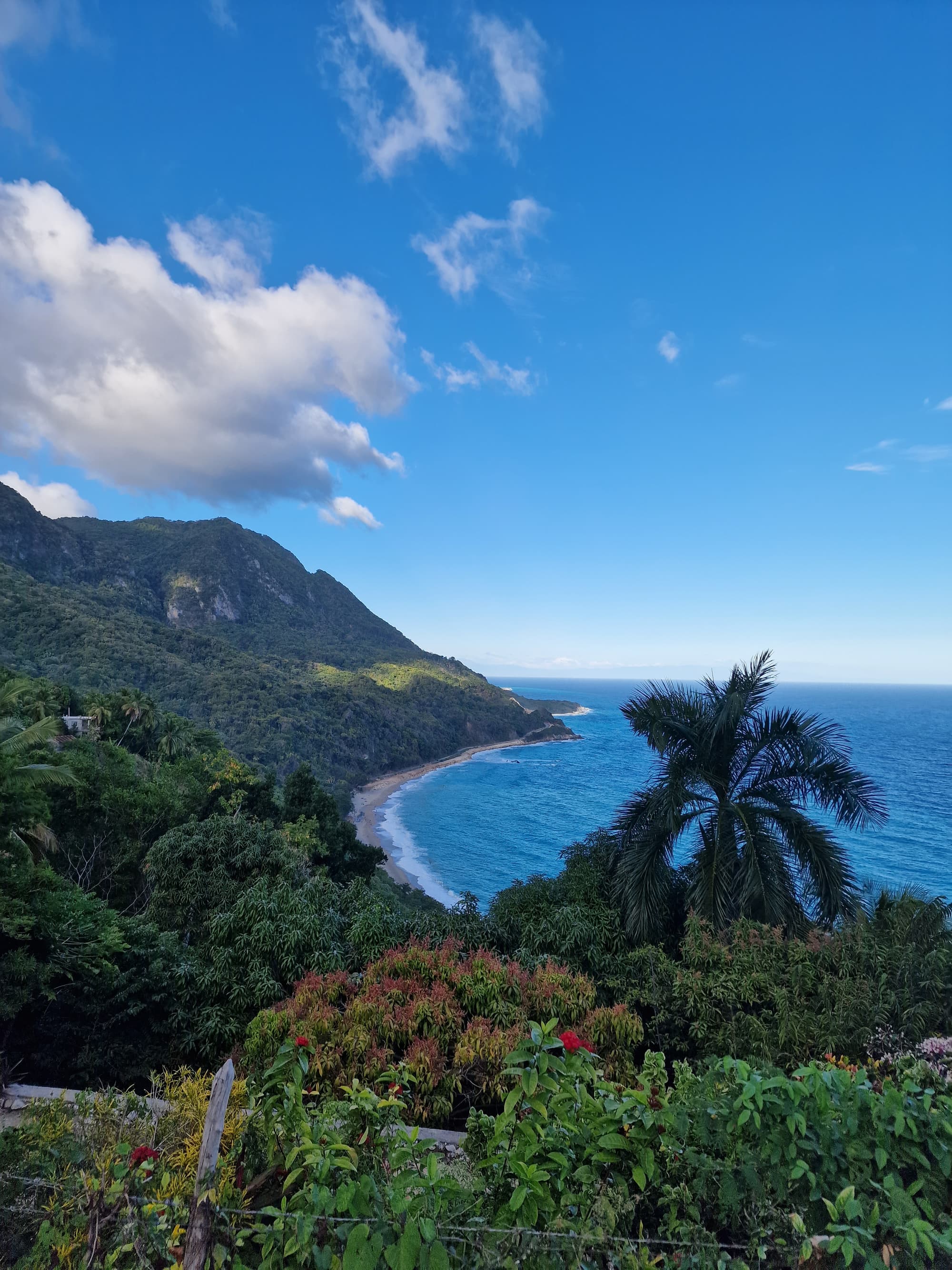 Barahona
