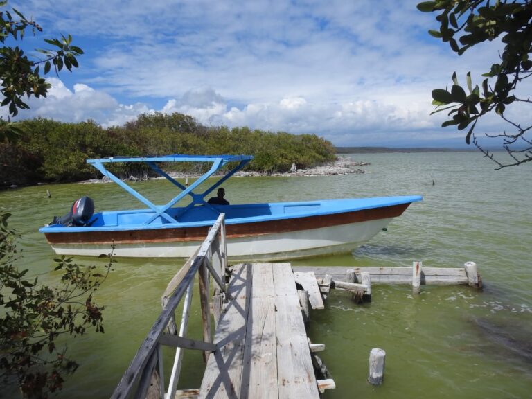 blue tour boat wooden dock mangrove island lago oviedo