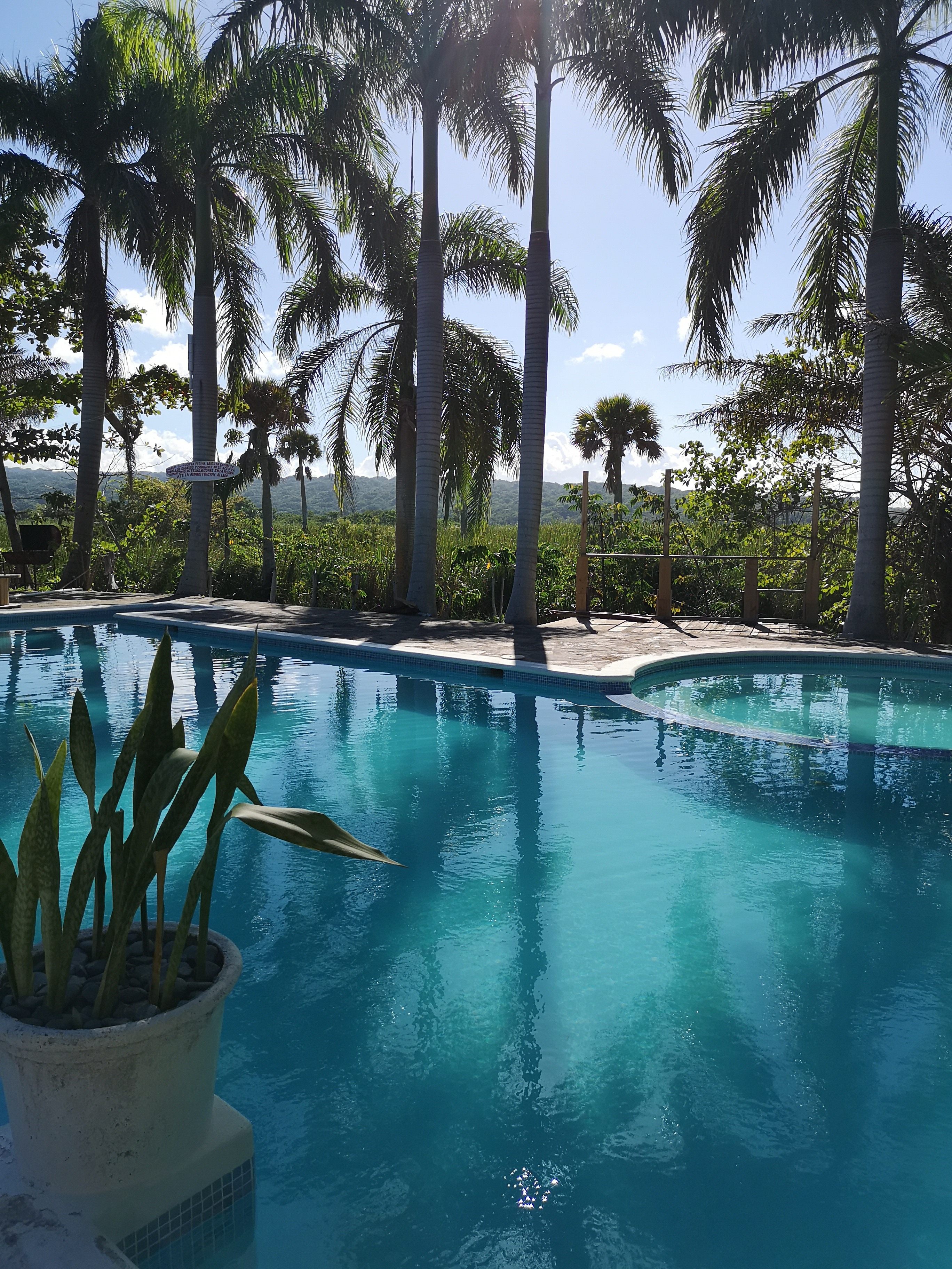 Private villa with pool surrounded by palm trees in Cabarete