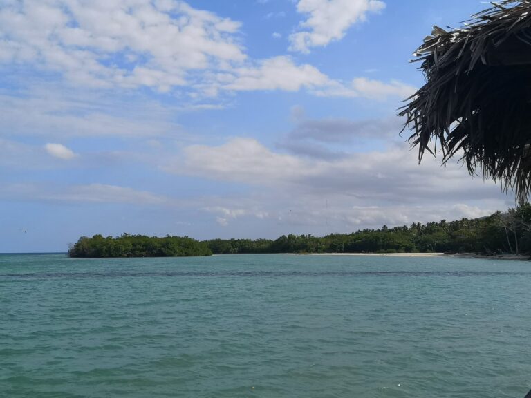 calm lagoon mangrove island from thatched roof barahona