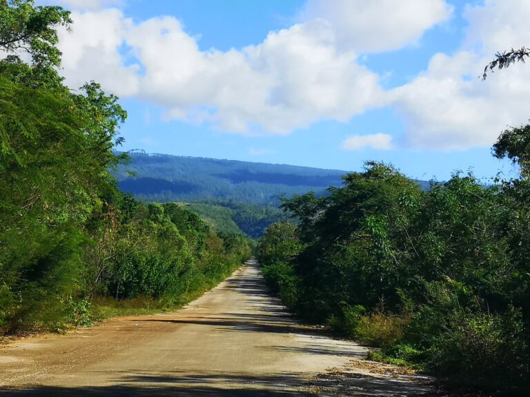 dirt road tropical forest mountain sierra bahoruco