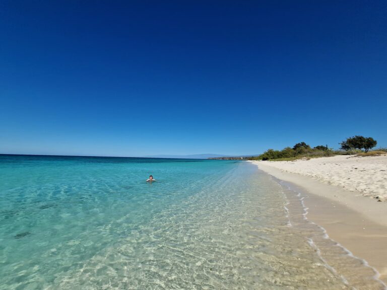 empty beach clear water palms bahia de aguillas southwest