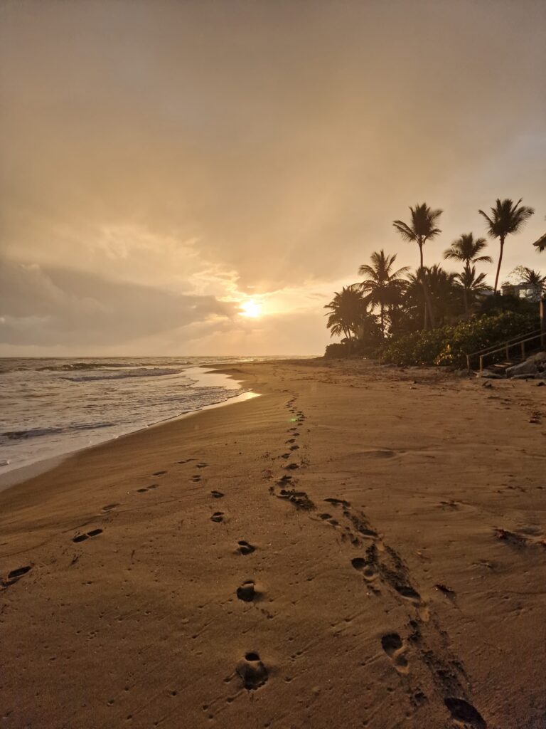 golden beach dawn cabarete