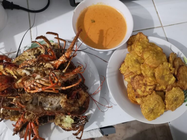 grilled lobster tostones lobster soup home cabarete