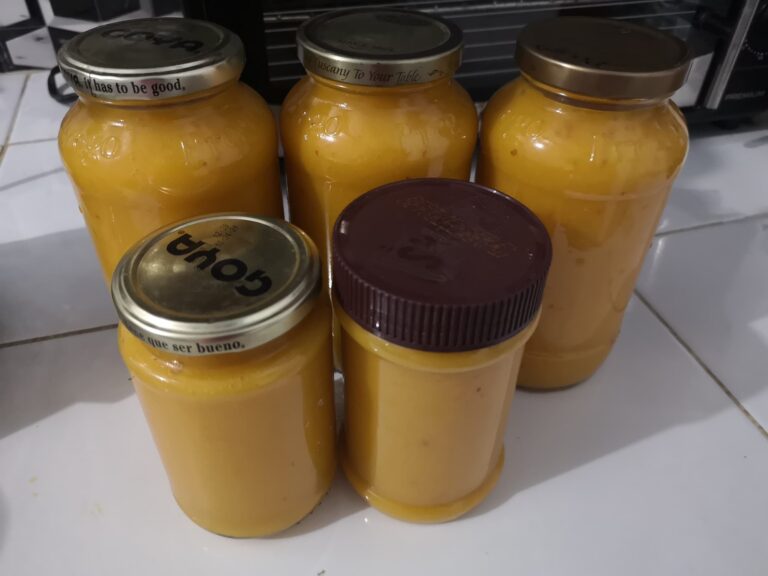 homemade mango sauce goya jars cabarete