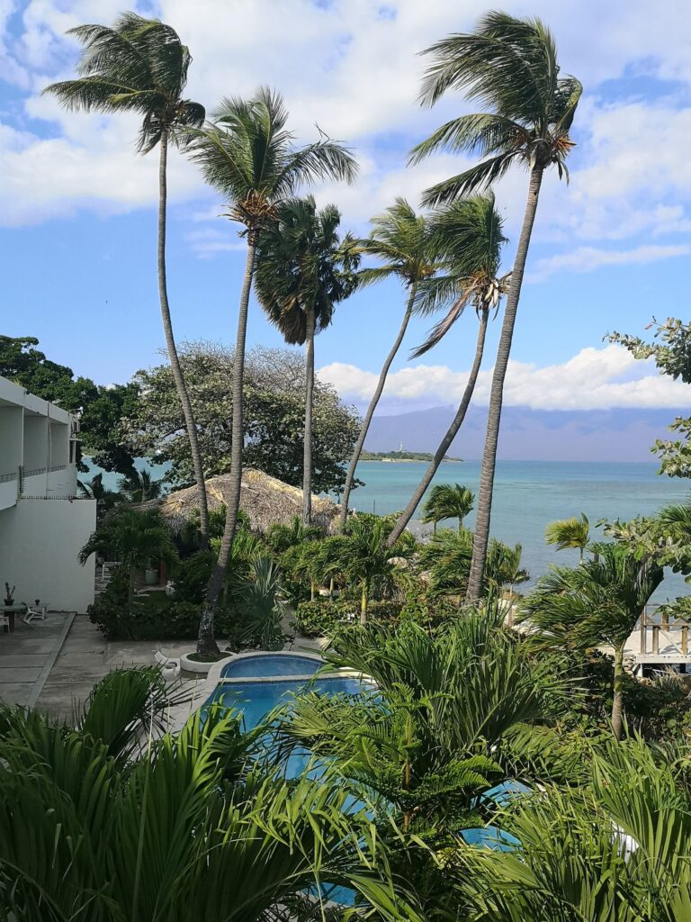 hotel pool palm trees sea view barahona