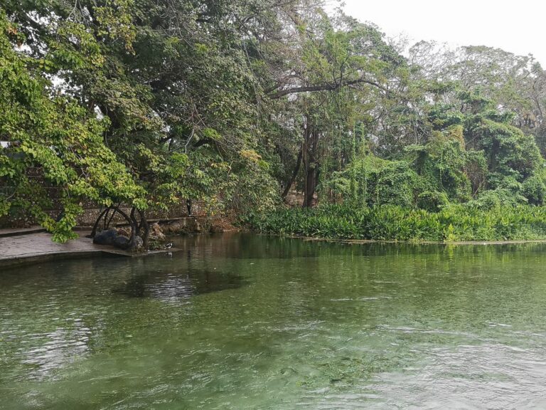 los patos spring pool second angle tropical trees barahona