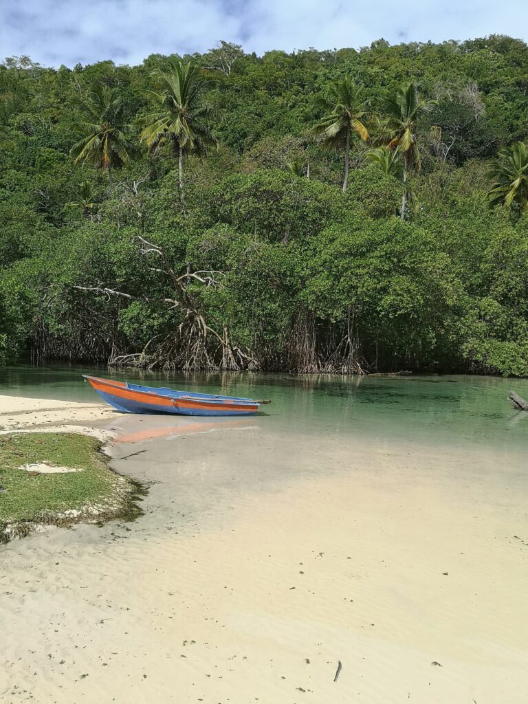 mangrove lagoon orange boat wide view samana