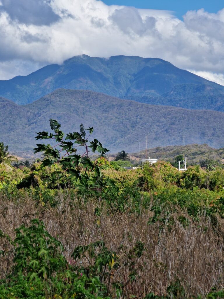 mountain valley green road south santo domingo