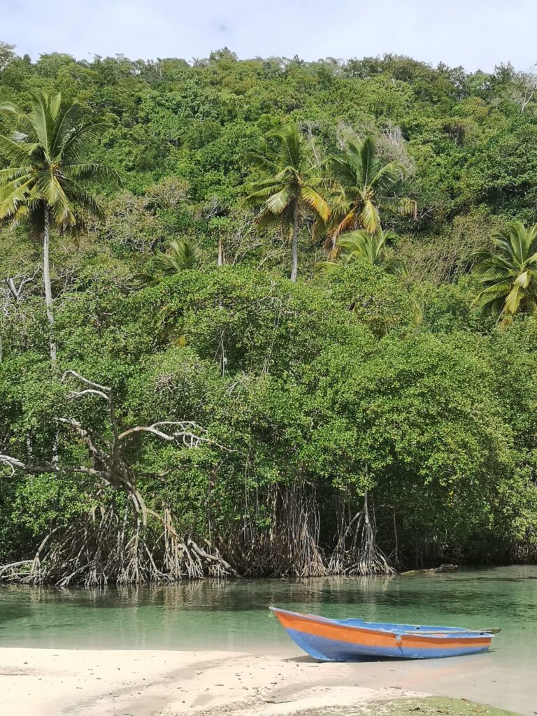 orange fishing boat beside mangrove wall lagoon samana