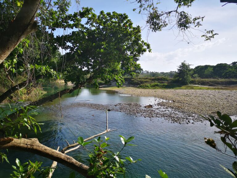 river rocky bed tropical vegetation shaded bank jamao cabarete