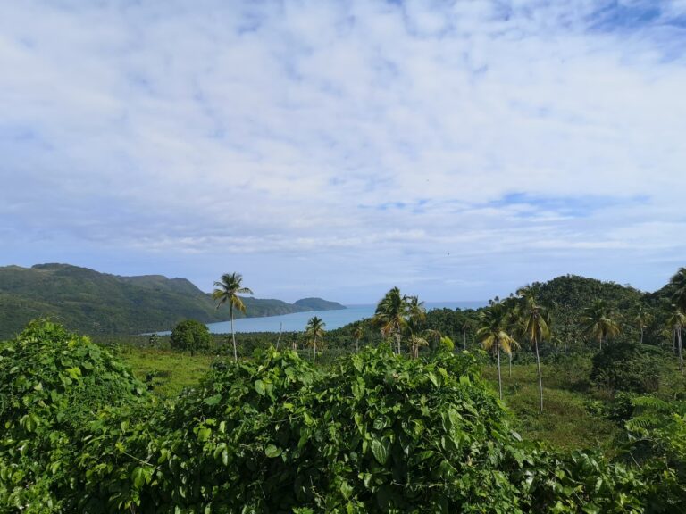 samana peninsula hillside panorama bay sea