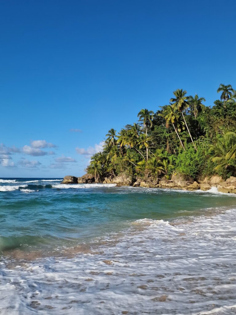 tropical palm headland rocky coast near cabrera