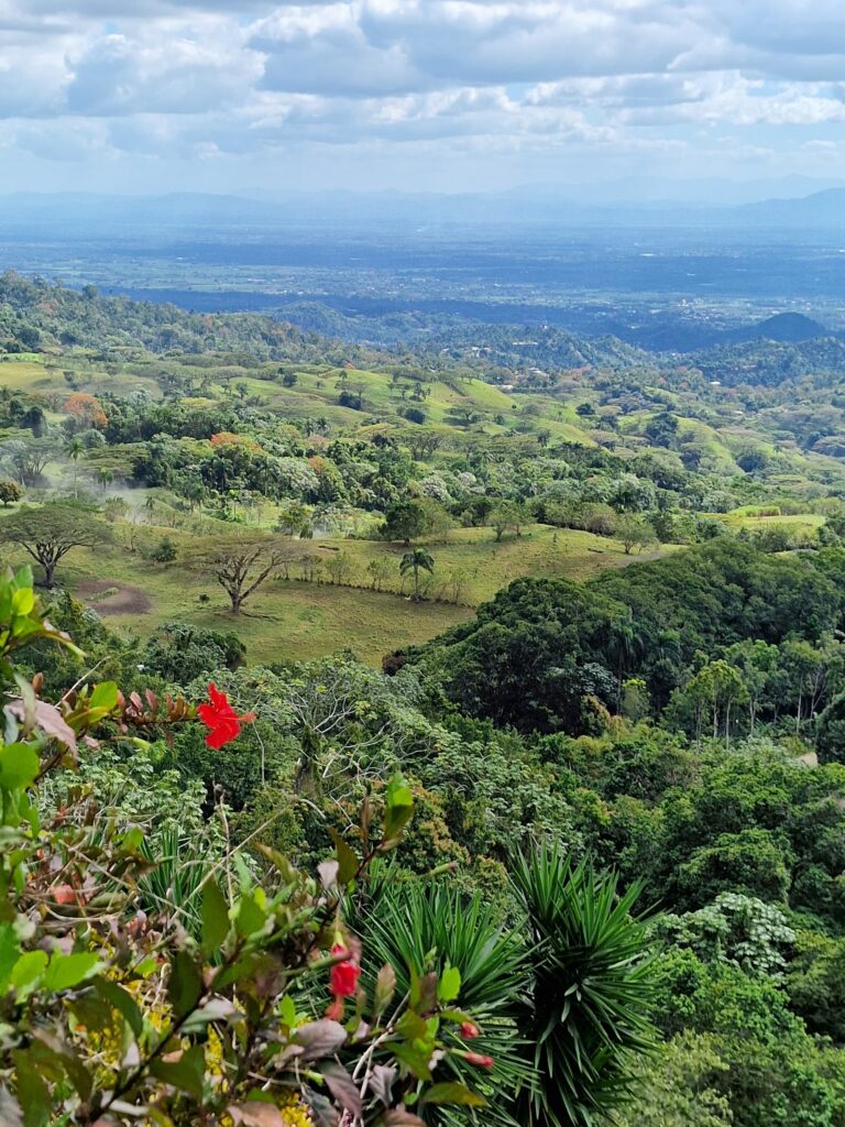 valley panorama red hibiscus san victor