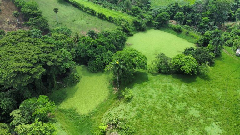 aerial green fields valley la vega