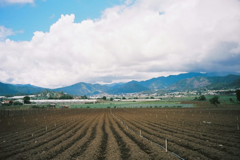 agricultural field fence mountains constanza