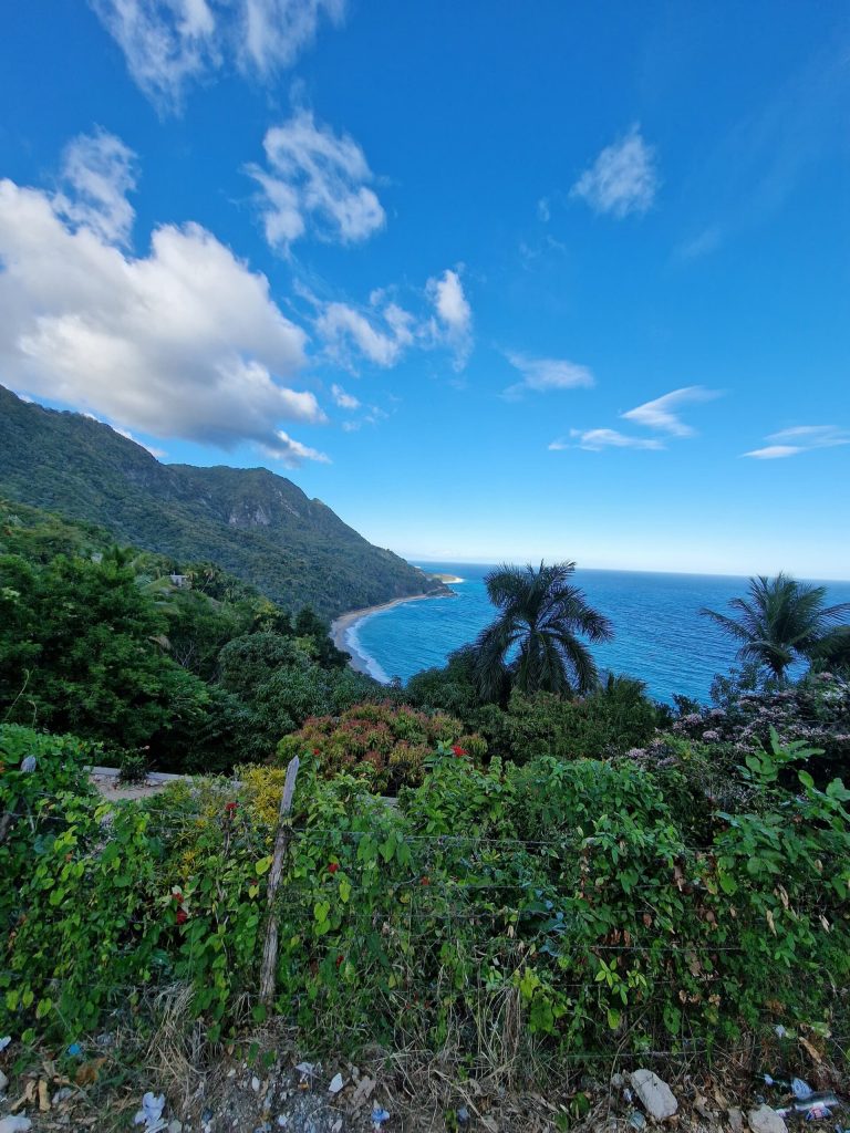 barahona coast headland palm tropical vegetation