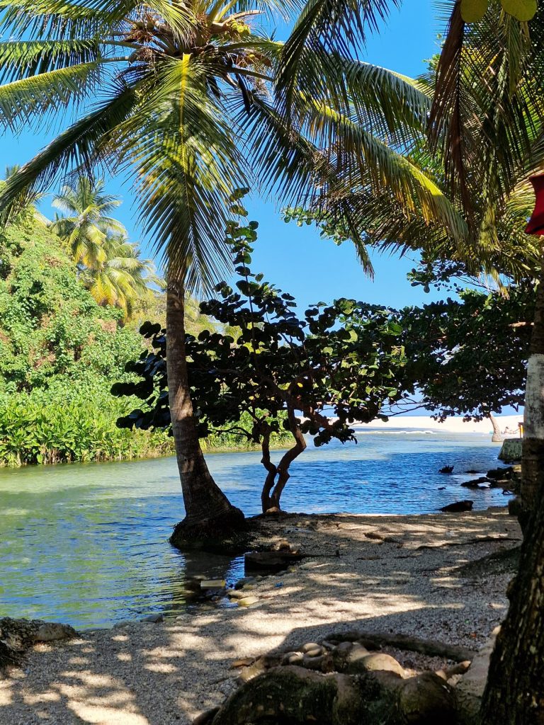 barahona coast road trip view