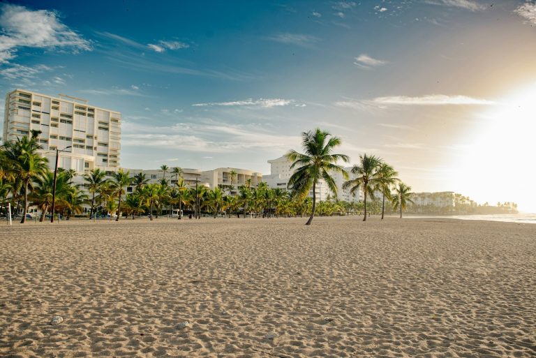 beach palm trees hotel background juan dolio