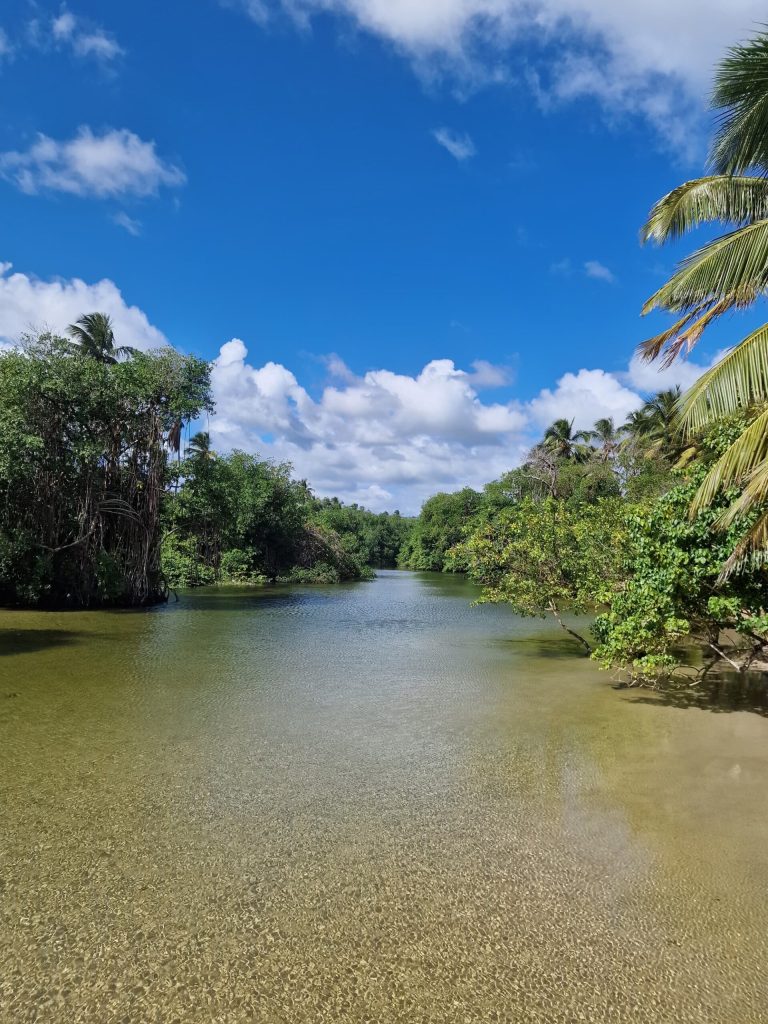 beach tropical scenery north coast