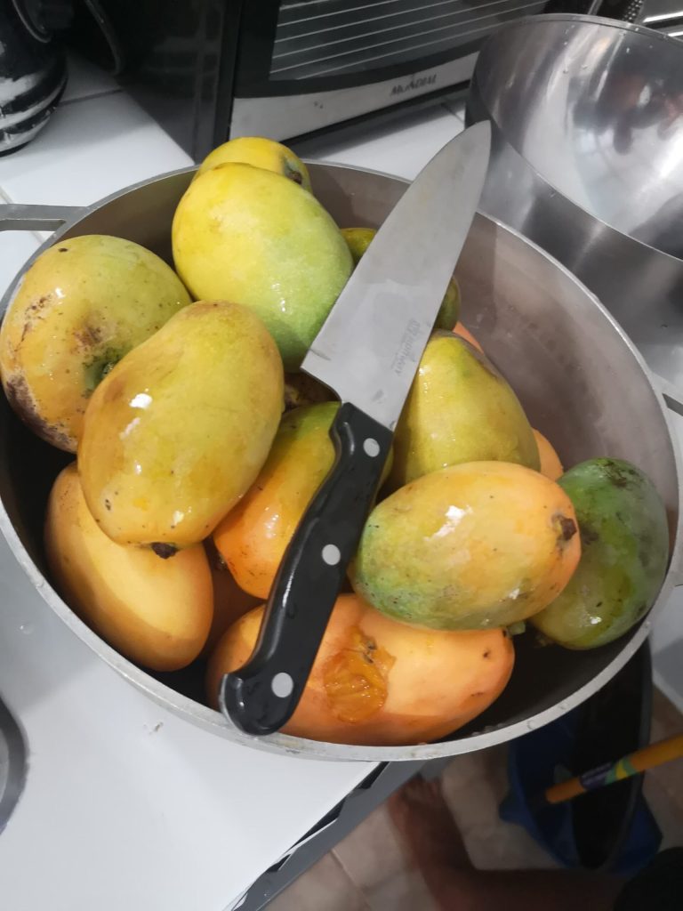 bowl ripe yellow mangoes knife kitchen home cabarete