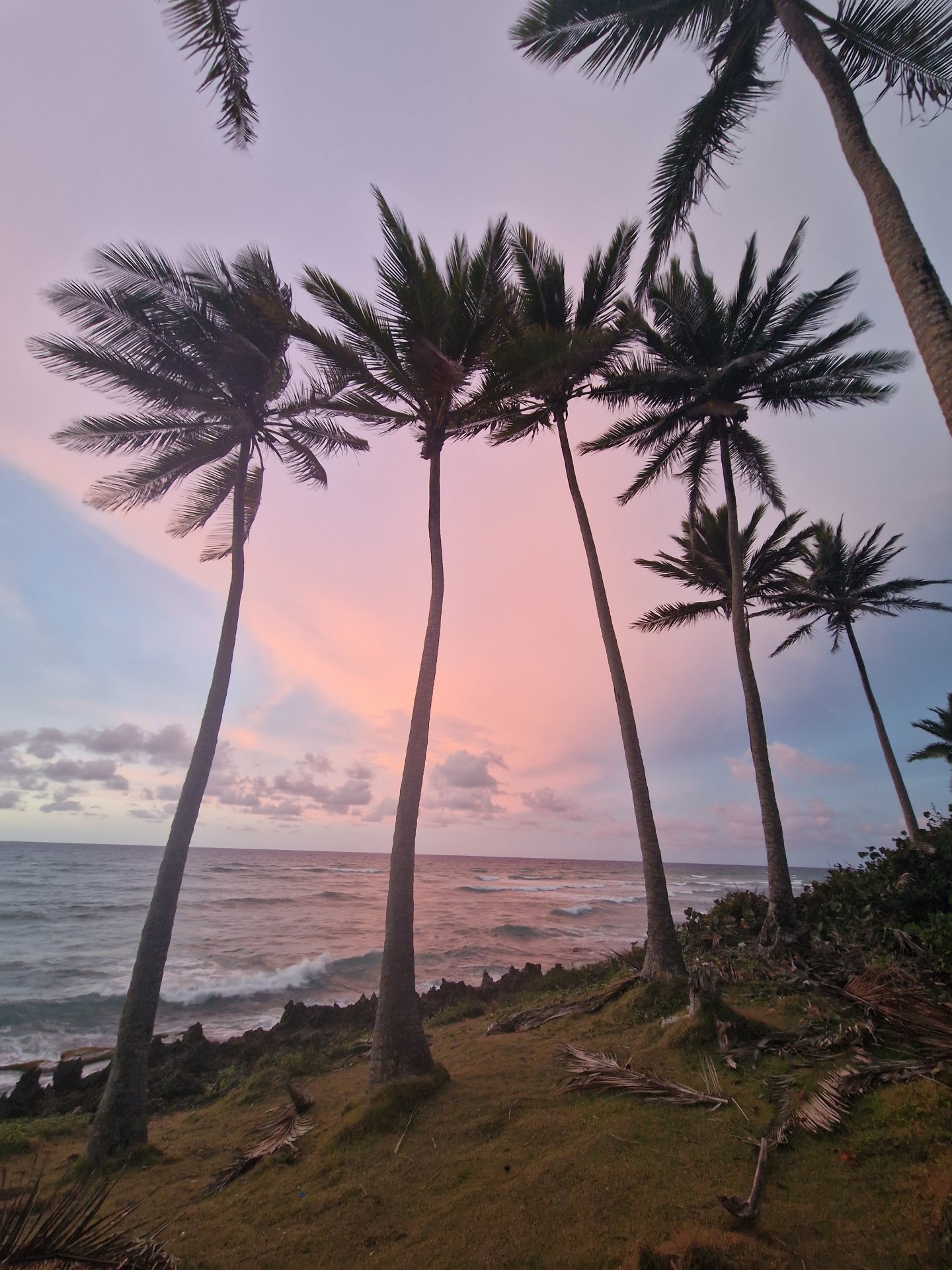Beach town in the Dominican Republic