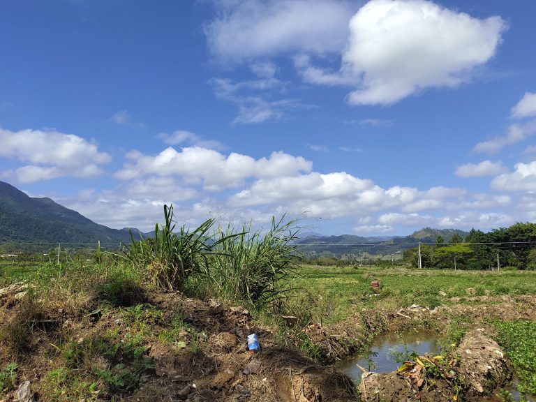 campo valley crops irrigation canal mountain backdrop