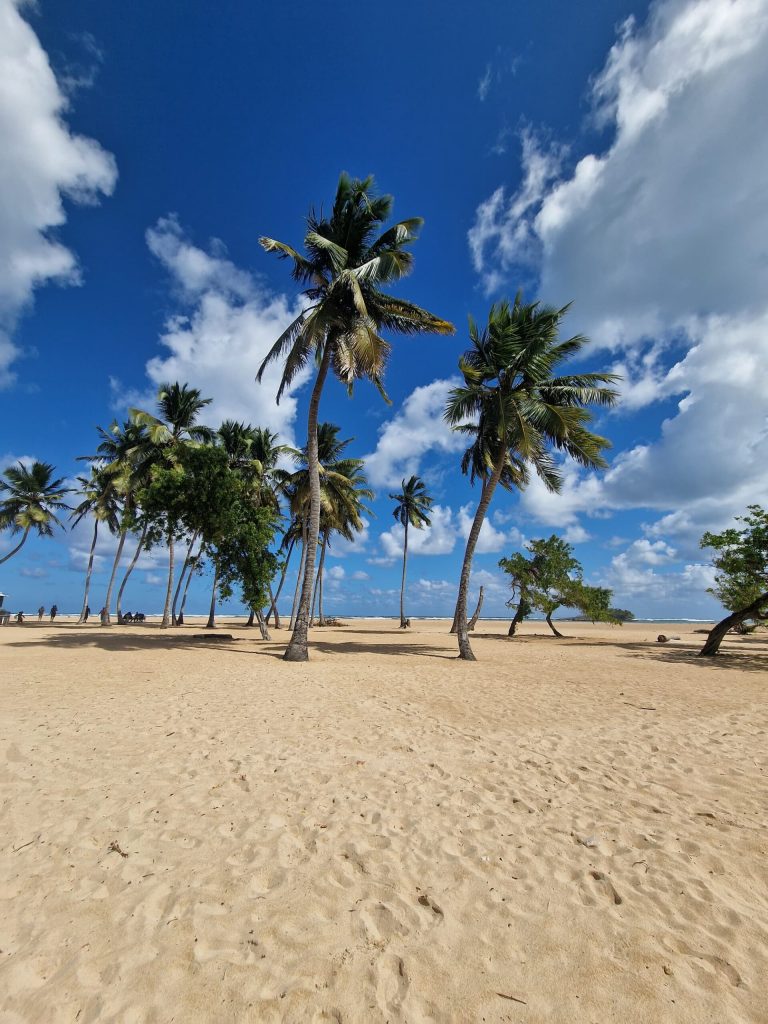 caribbean beach coastal scenery north