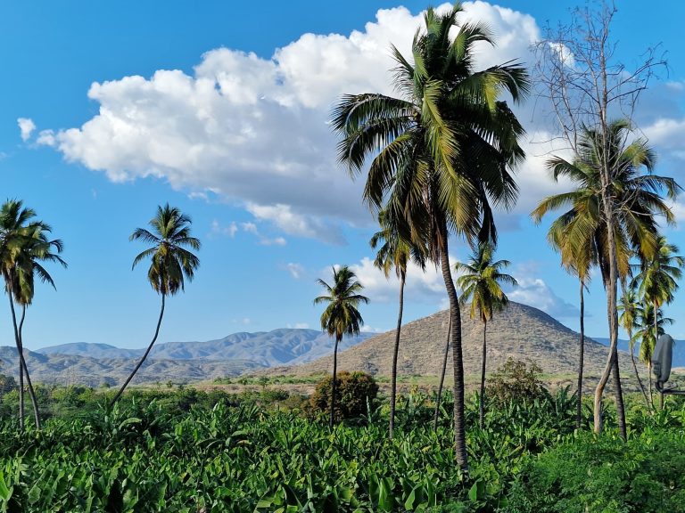 coconut palm valley road heading north