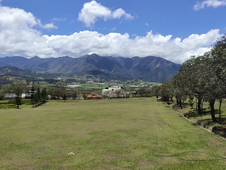 constanza valley green meadow pine mountains panorama