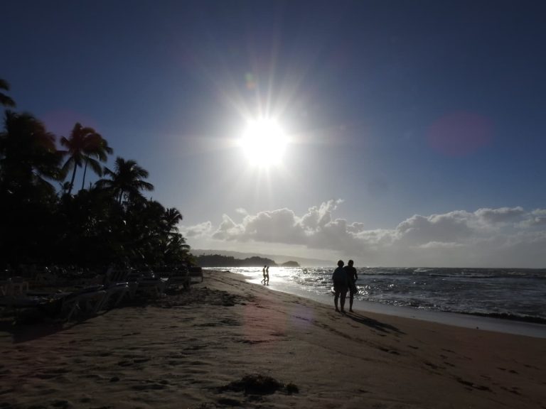 couple silhouetted beach bright sun palms las terrenas