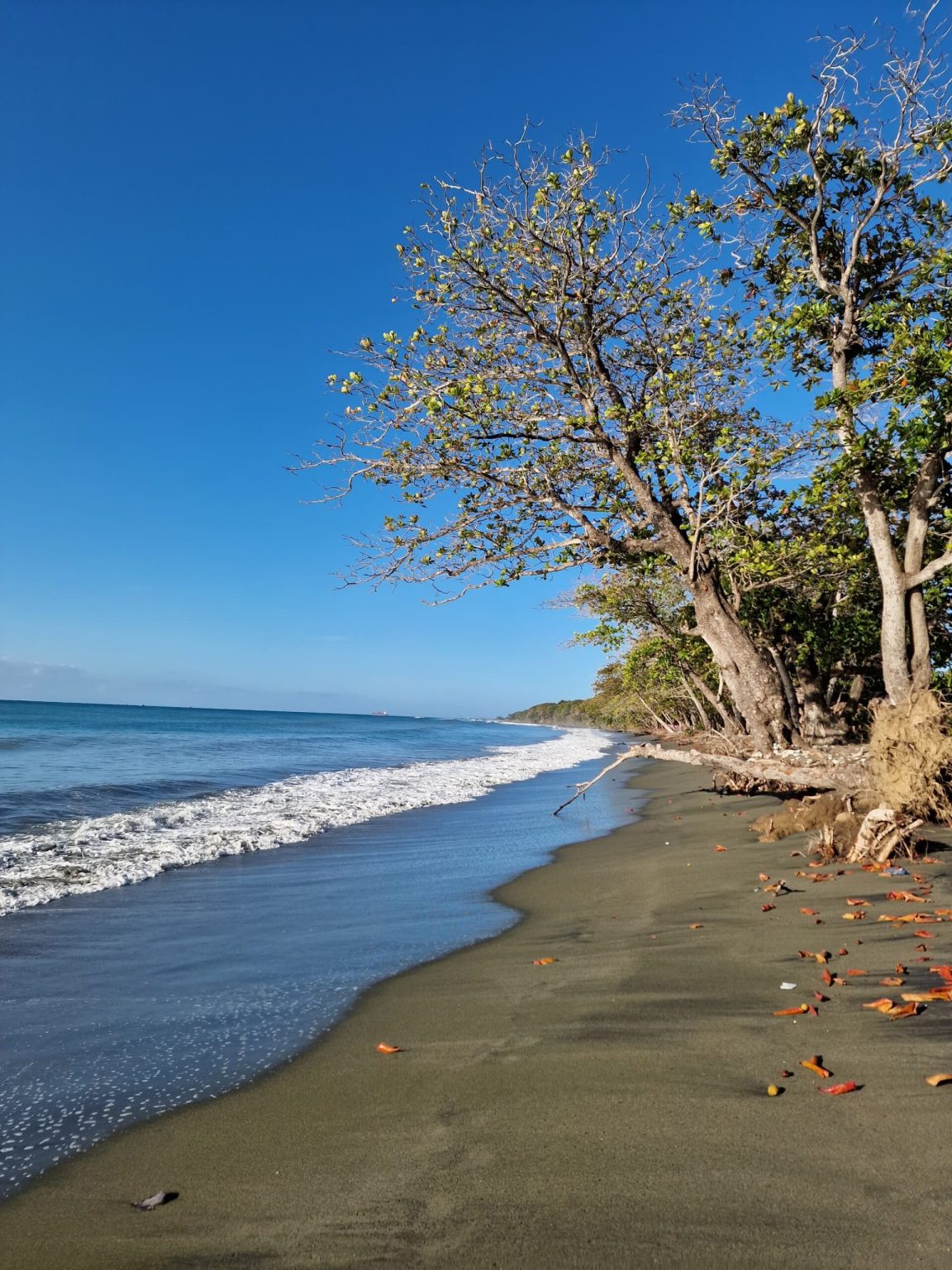 Nagua, Dominican Republic