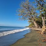 Nagua