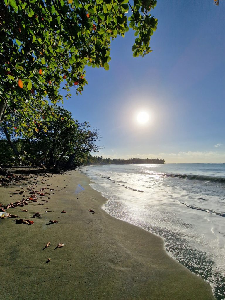 dark sand beach sea grape sun playa grande rio san juan