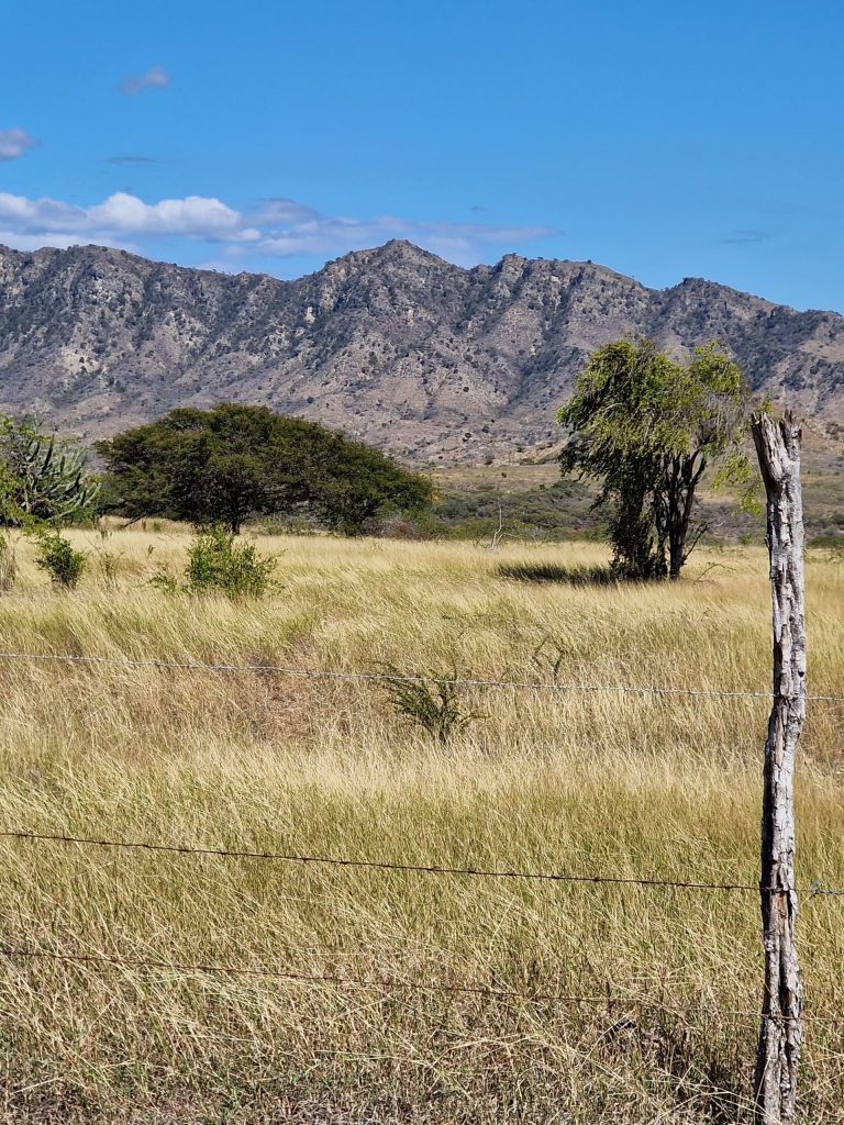 dry grassland fence post rocky mountain southwest