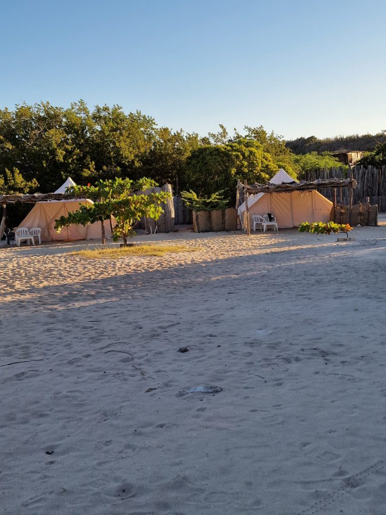 ecocamp beach dawn thatched structures bahia de aguillas southwest
