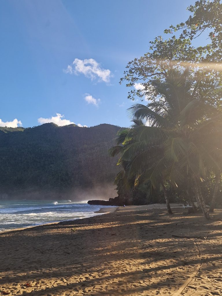 el valle beach palm tree mountain headland samana