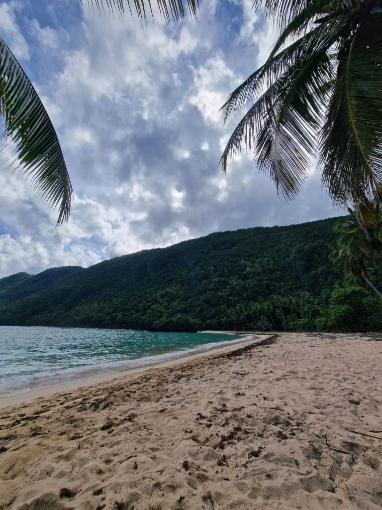 el valle beach palms forested mountain backdrop samana