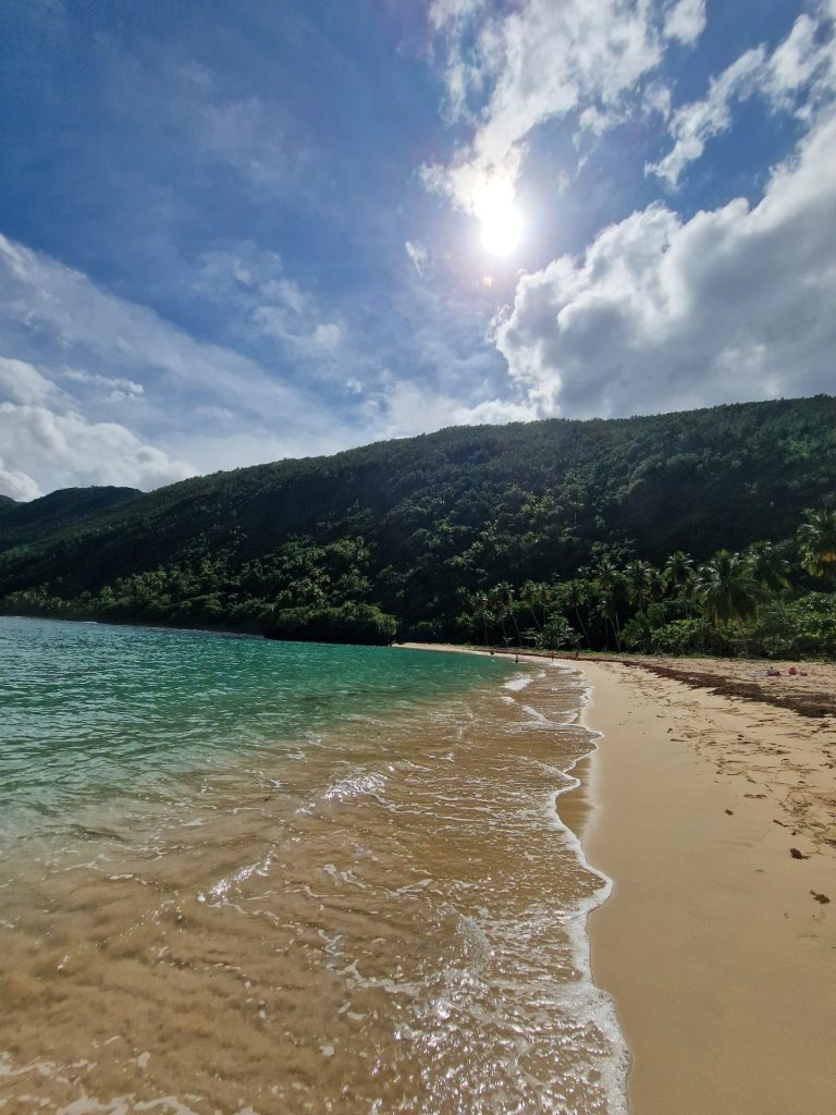 el valle beach waves sun forested cliff samana