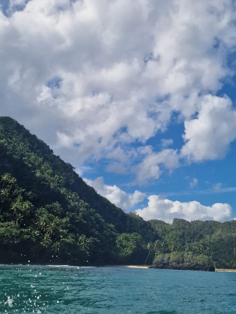 el valle coastal forested mountain from sea samana