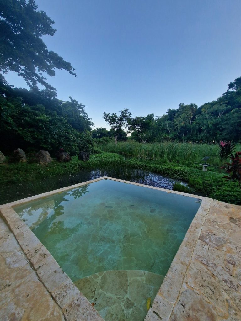 el valle guesthouse pool jungle hillside view samana