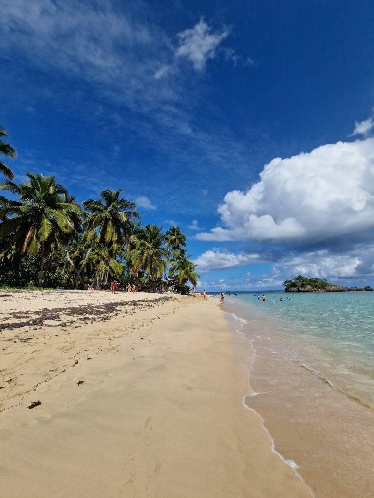 el valle main beach palms blue water small island samana