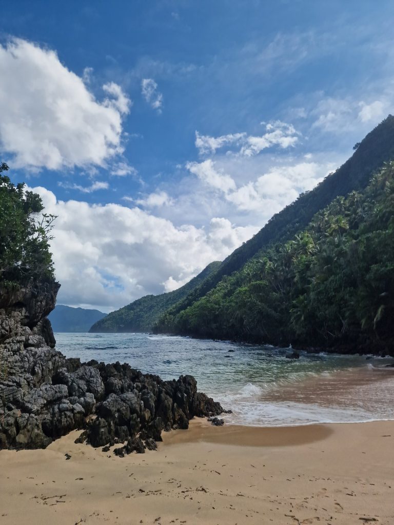 el valle rocky shore forested mountain waves samana