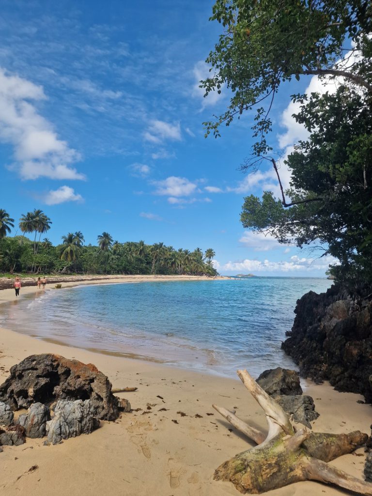 el valle secluded beach rocky outcrops palms driftwood samana
