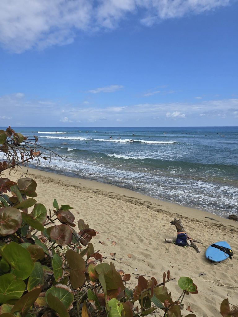 Encuentro beach, Cabarete
