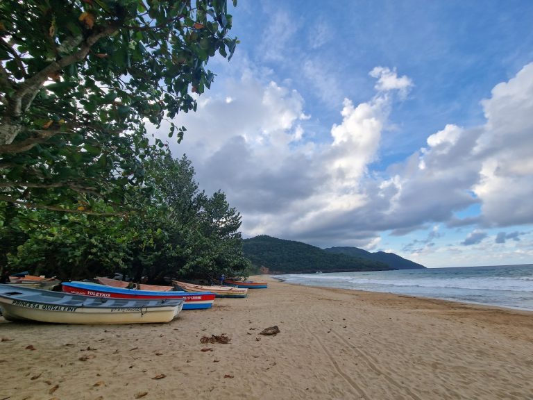 fishing boats beached sea grape trees las galeras samana