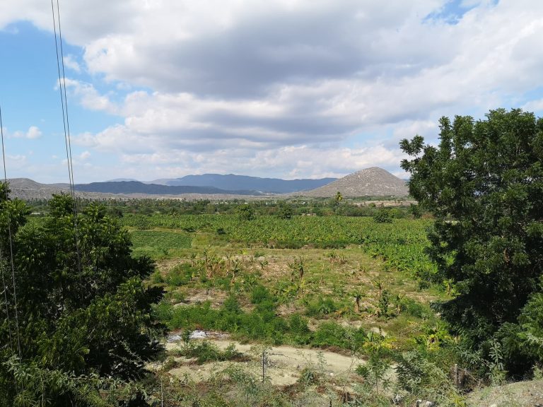 flat valley banana plantation mountains southwest