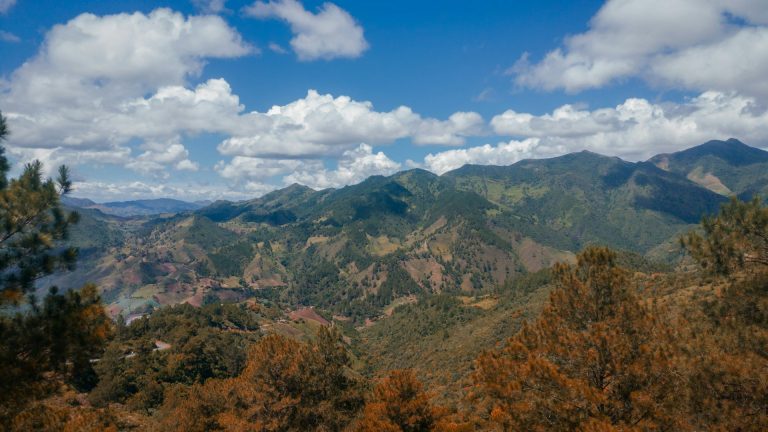 forest mountains blue sky constanza